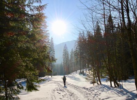 Winter Hiking Tatra group trip 